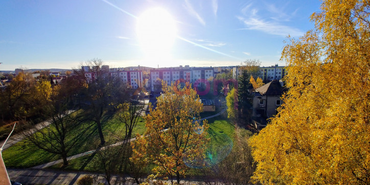 Mieszkanie Sprzedaż Kielce Szczygla 10