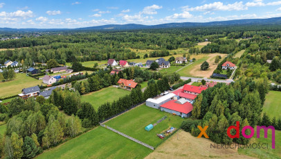 Lokal Sprzedaż Wilków