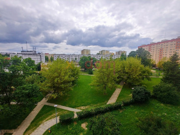 Mieszkanie Sprzedaż Kielce Romualda